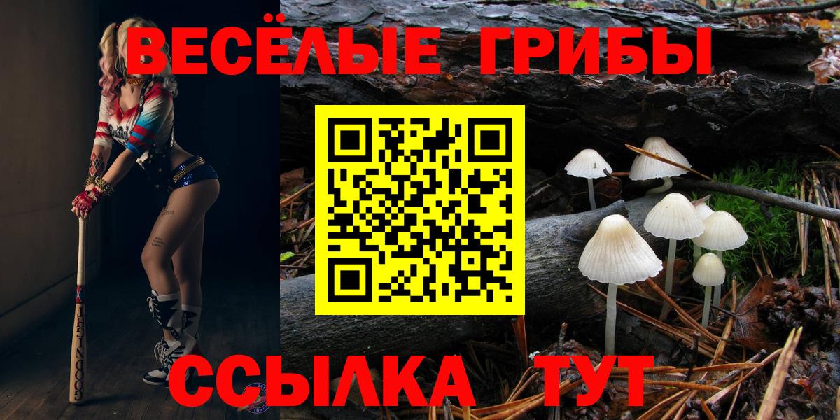 Удомля  Галлюциногенные грибы мухоморы  Вход с VPN 
