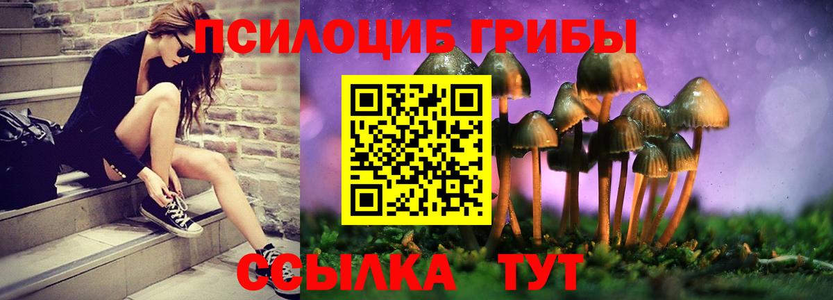 Псилоцибиновые грибы Psilocybine cubensis Удомля